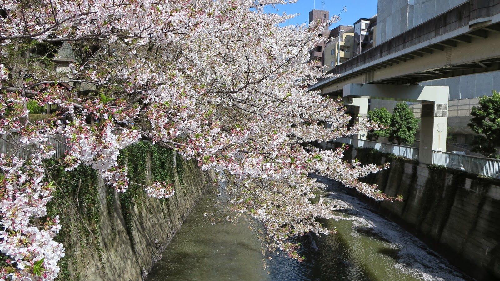 [IMG_0852%255B3%255D.jpg]