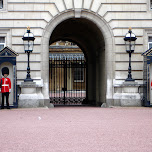 guards at buckingham palace in London, United Kingdom 