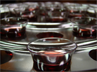 c0 Communion tray and cups. This is what a communion tray looks like in my tradition. Baptists serve grape juice instead of wine.