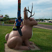 100_0754.JPG