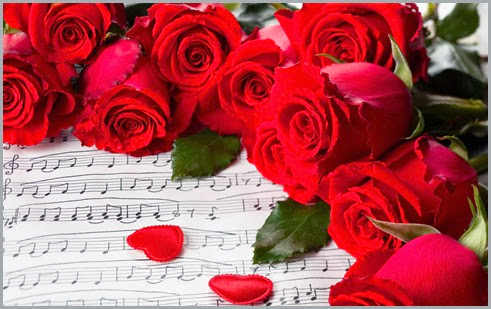 552944_nature_flowers_flower_red_roses_valentine_days_2560x1600_(www.GdeFon.ru)