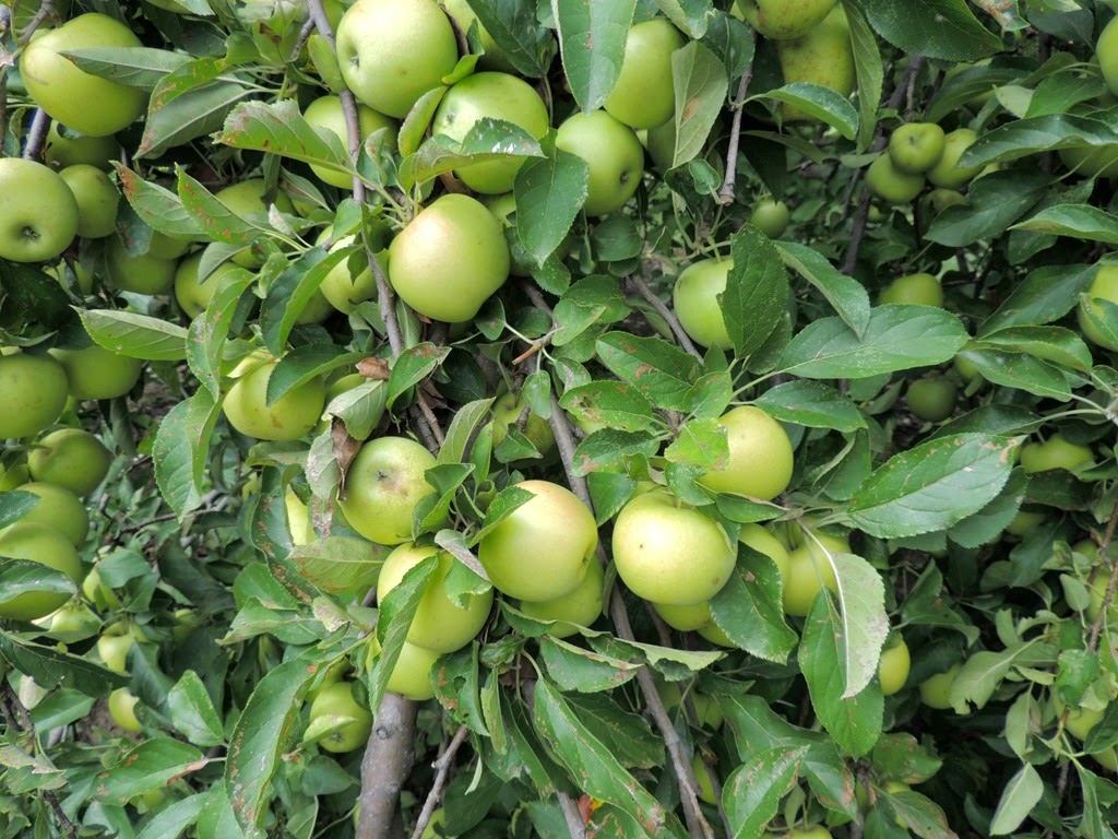 [DSCN0310%255B3%255D.jpg]