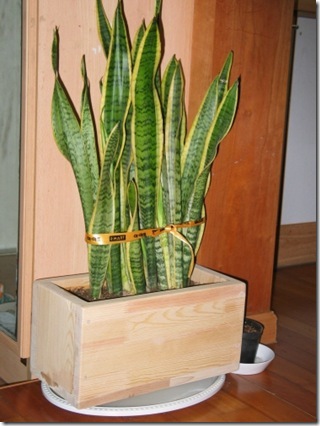 Gallery3949_8 Gallery3949_8
