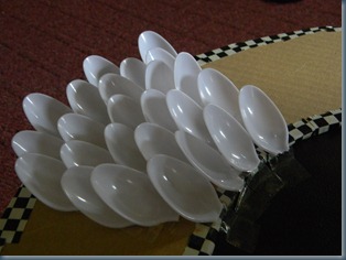DSCN3309 DSCN3309