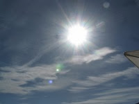 IMG_8436 IMG_8436