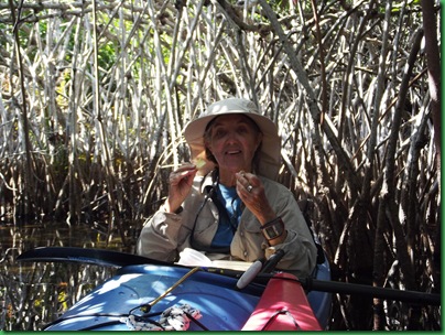 9 mile pond paddle 074