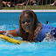 DSC02096.JPG