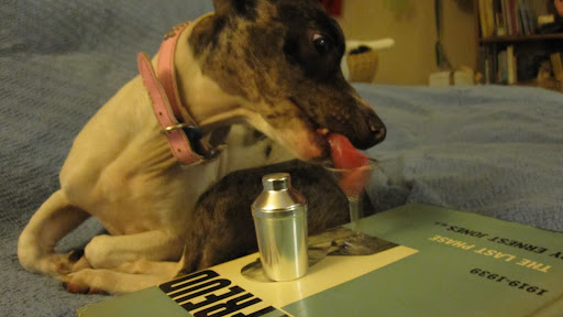 Then she ventured to have a taste...