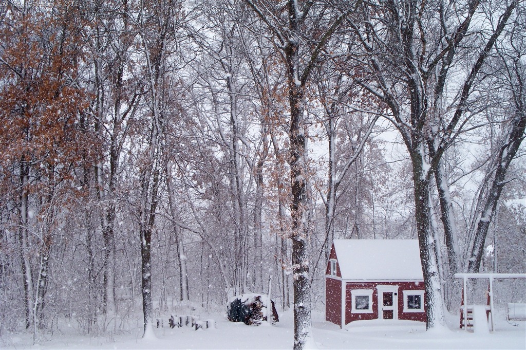 [First%2520Snowstorm%2520of%2520Winter%255B9%255D.jpg]