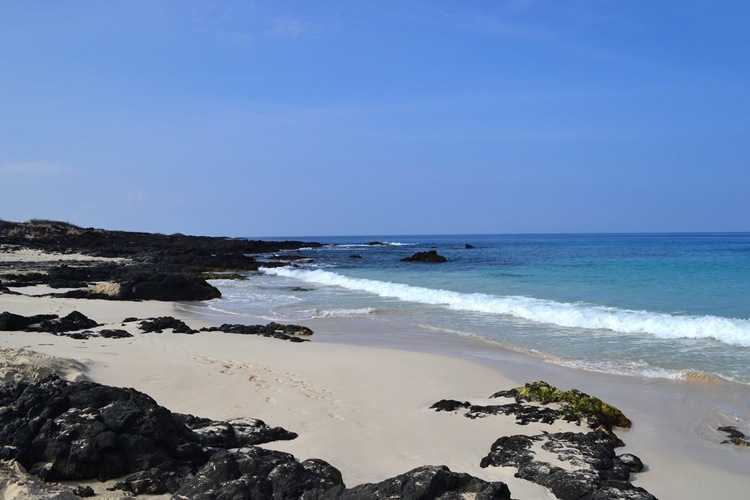 DSC_0428-1