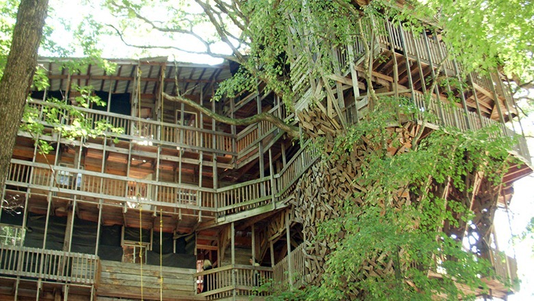 Biggest Treehouse In The World plain biggest treehouse in the world 2016 at bravo farms to design Biggest Treehouse In The World plain biggest treehouse in the world 2016 at bravo farms to design