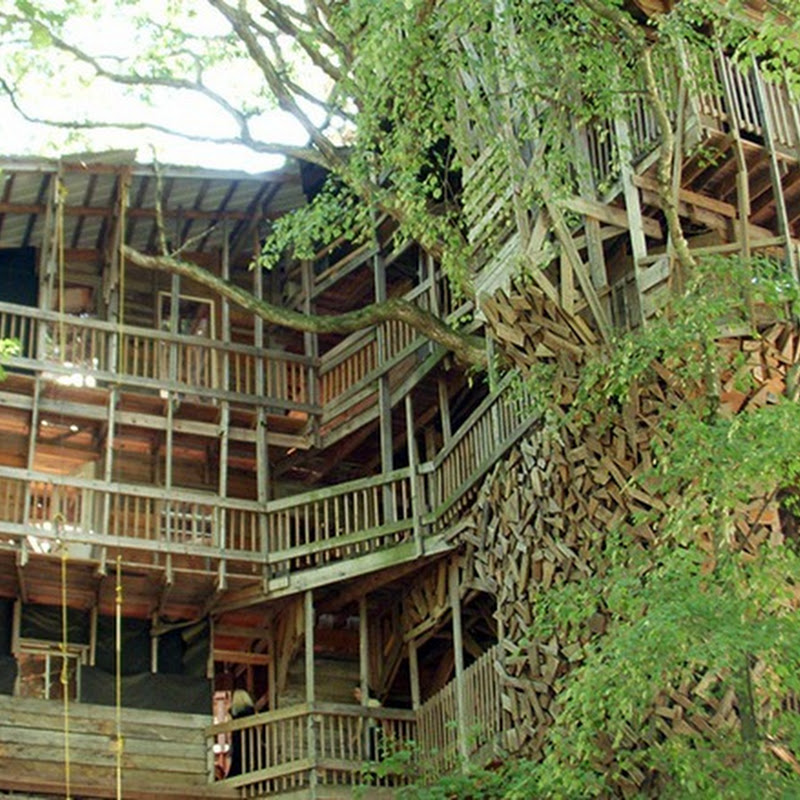 Biggest Treehouse In The World 2013 massive tree house in crosville, tennessee: the largest in the Biggest Treehouse In The World 2013 massive tree house in crosville, tennessee: the largest in the
