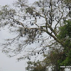 l001.jpg