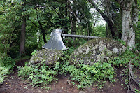 DSC00033.JPG Photo