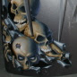 skullfender.JPG