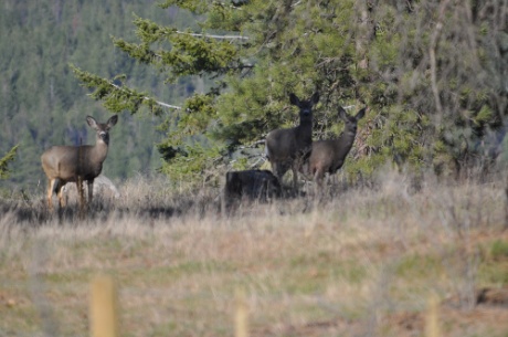 DSC_0064.jpg DSC 0064