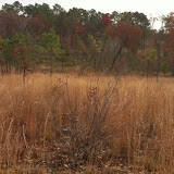 Hunting Habitat 6, Anderson Creek