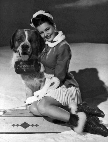 26th September 1946: American actress and dancer Cyd Charisse with a St Bernard dog, which is equipped with a barrel of brandy marked 'Merry Christmas'.
