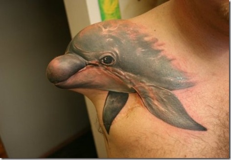 stumpy-the-dolphin-tattoo