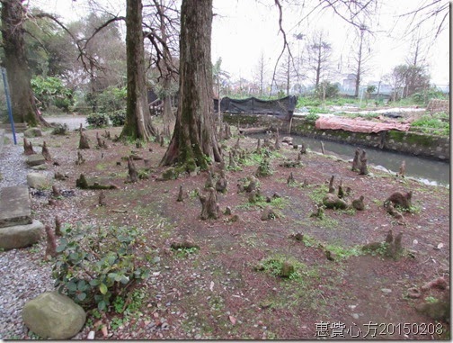 IMG_0552 IMG_0552