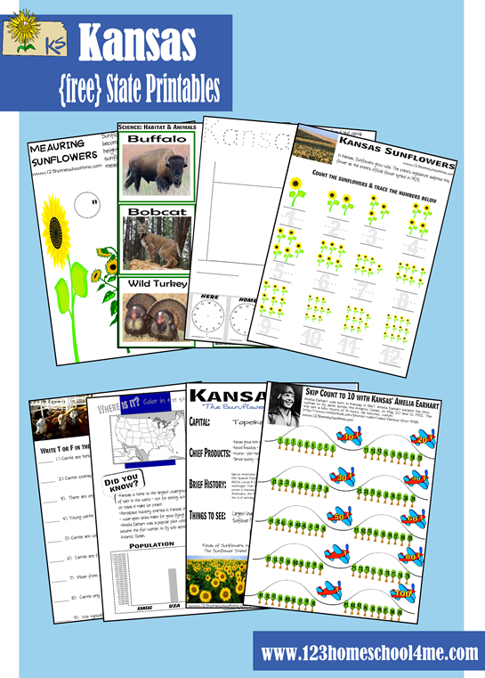 kansas worksheet kansas worksheet