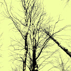 SL270643.JPG