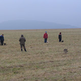 Zkoušky dle KJ Brno 25.10.2009