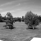 gleisdreieck28 Der neue Park am Gleisdreieck (Fotos)