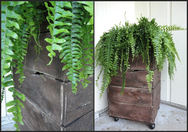 Pallet Planter Collage
