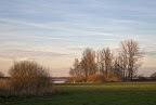 Teufelsmoor bei Neu Helgoland (Worpswede)
