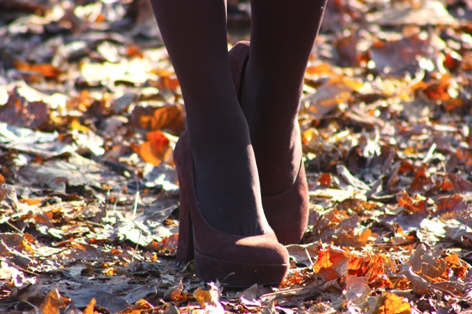 IMG_4782.JPG bagatt shoes brown