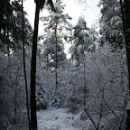 3-1-2010-043.jpg