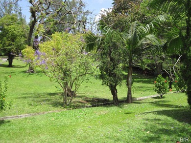 Kingstown_im_Park Kingstown_im_Park