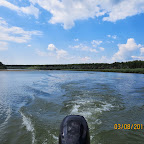 IMG_5558.JPG