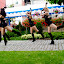 IMGP8795_resize.jpg