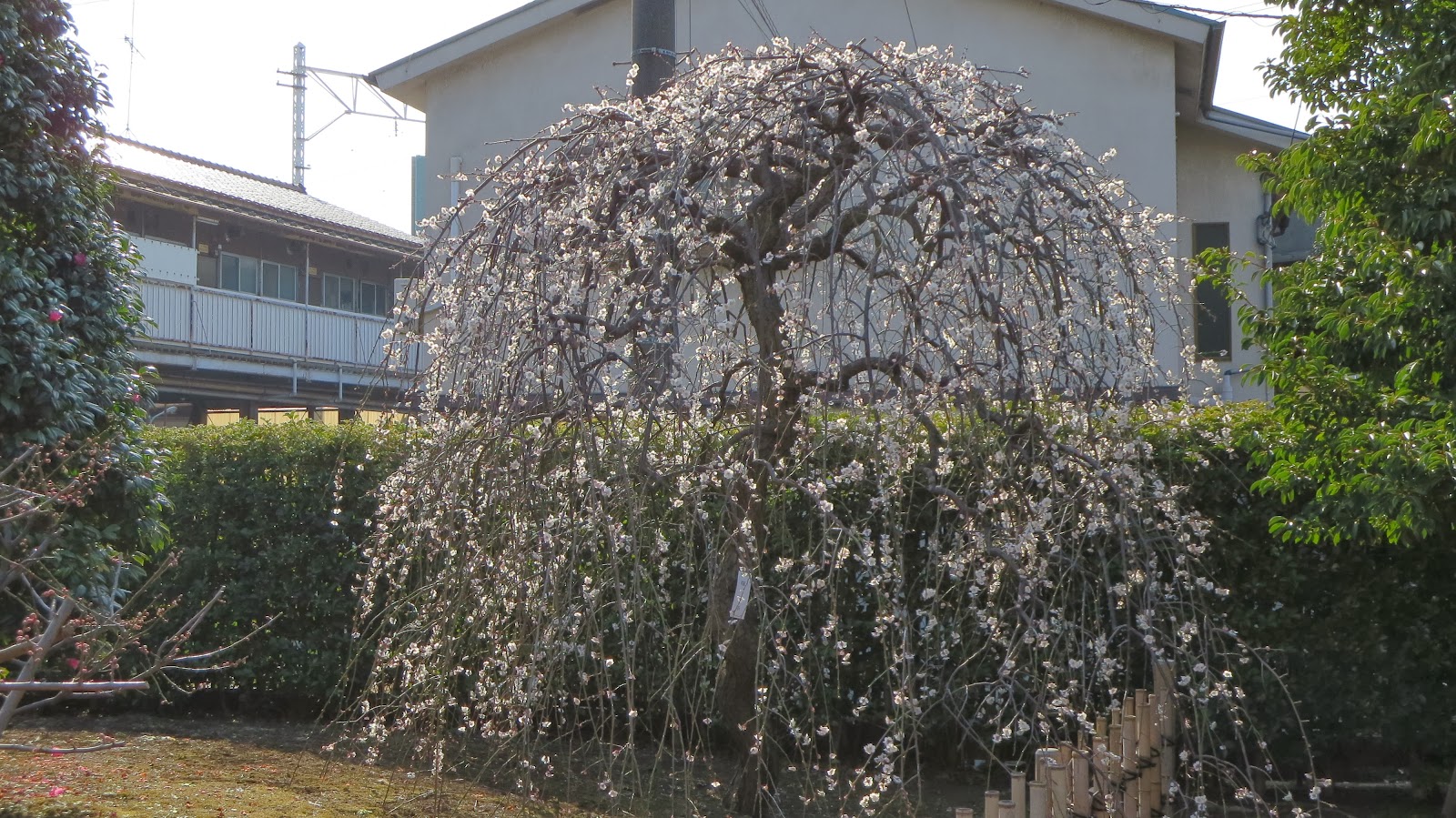 [IMG_0428%255B3%255D.jpg]