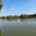 IMG_7963.JPG