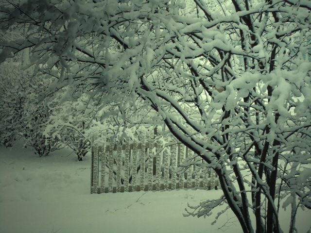 [Snow%2520March%25202%25204%255B6%255D.jpg]
