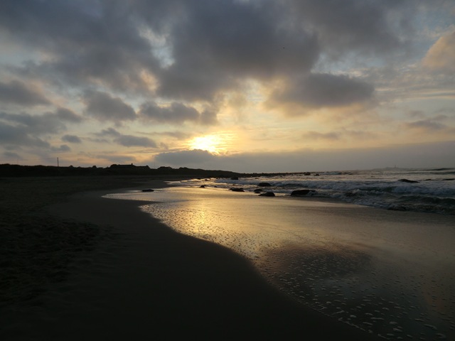[november420110283.jpg]