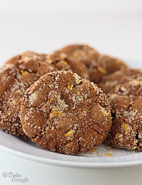 [Chocolate-Orange-Cookies%255B206%255D.jpg]