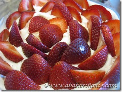 berry layer in trifle berry layer in trifle