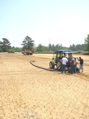 bog laying pipe for center bog drainage