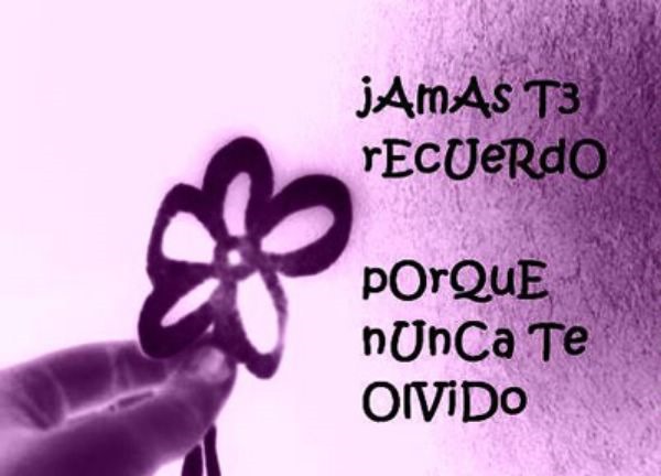 frases humor mujeres capitnapalomo (10) frases humor mujeres capitnapalomo (10)