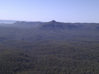 IMG_20121125_085339.jpg Photo