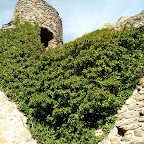 SL270719.JPG