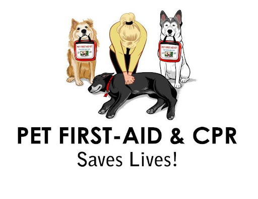 Keeping companions cool is critical!
In the case of a pet heatstroke emergency,
Pet Safety Expert Denise Fleck offers life saving training and tips. Keeping companions cool is critical!
In the case of a pet heatstroke emergency,
Pet Safety Expert Denise Fleck offers life saving training and tips.