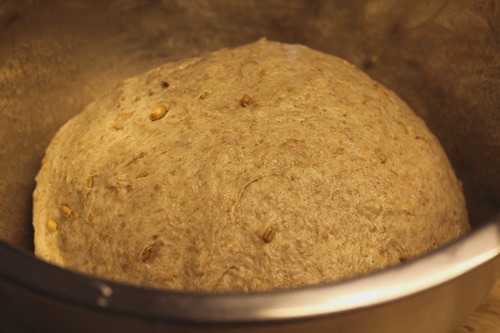 sprouted-spelt-bread_2415
