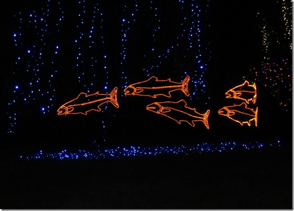 IMG_1148 IMG_1148