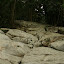 Yet more rocks to hop and skip over...
