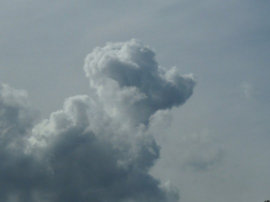 صور رائعة للغيوم تأخذ أشكالا مألوفة  Poodle%252520cloud%2525201%25255B4%25255D